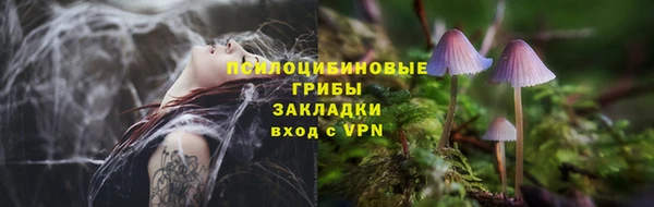 прущие грибы Алексин