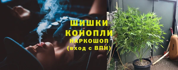 ГАЛЛЮЦИНОГЕННЫЕ ГРИБЫ Алзамай