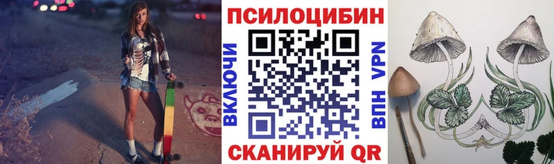 Псилоцибиновые грибы Cubensis Константиновск